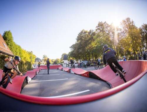 WALDWÄRTS – Bike ’n‘ Hike im Pfälzerwald