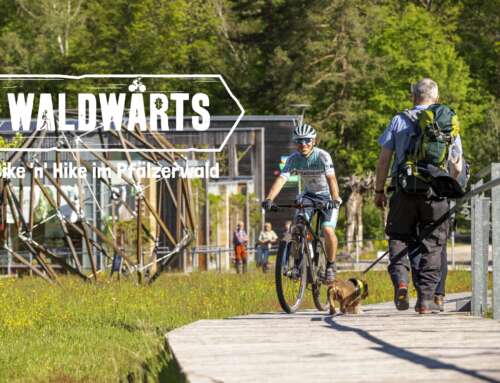 Bike ’n’ Hike-Event im Pfälzerwald lädt zum Mitmachen ein
